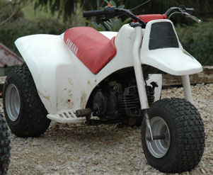 Yamaha trizinger